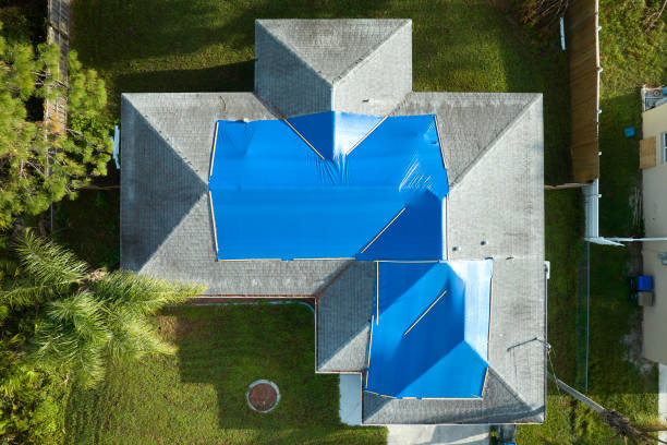 Best Roof Moss and Algae Removal  in Discovery Bay, CA
