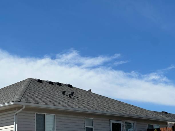 Best Roof Coating Services  in Discovery Bay, CA